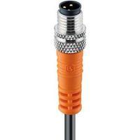 Lumberg Automation 11713 RSMV 4-07/2M Actuator Sensor Cord, M8 Coupler, Angled