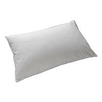 Luxury Duck Down Pillows (2)