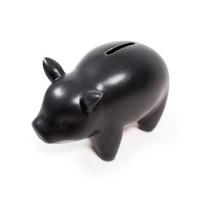 Luckies Capitalist Pig Chalkboard Money Box