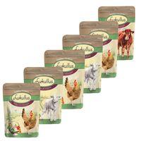 Lukullus Pouches Mixed Saver Pack 24 x 300g - Classic Mixed Saver Pack