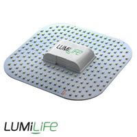 Lumilife 12 Watt - LED 2D Light (4-pin) - Warm White