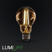 Lumilife 6W E27 LED - Standard Shape Filament Bulb - Dimmable