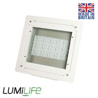 Lumilife 100 Watt LED Forecourt and Canopy Light - 60 Degree Lenses - Osram LEDs