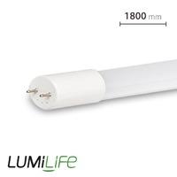 Lumilife 6ft T8 LED Glass Tubes (1800mm)