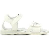 lumberjack sg08906 003 p30 sandals kid bianco boyss childrens sandals  ...