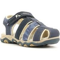 lumberjack sb07606 002 n50 sandals kid navy bleu boyss childrens sanda ...