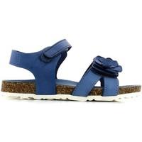 lulu lulu lt240001l sandals kid blue girlss childrens sandals in blue