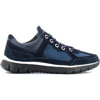 Lumberjack 1572 M05 Sneakers Man Navy blue men\'s Walking Boots in Multicolour