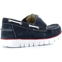 Lumberjack 1553 A01 Mocassins Man Navy blue men\'s Loafers / Casual Shoes in Multicolour