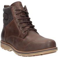 lumberjack sm16601 001 h01 casual boots mens low ankle boots in brown