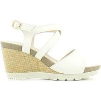 lumberjack sw31006 003 s01 wedge sandals women bianco womens sandals i ...