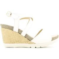 lumberjack sw12406 001 n81 wedge sandals women bianco womens sandals i ...