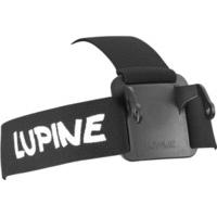 Lupine Betty R Headbelt