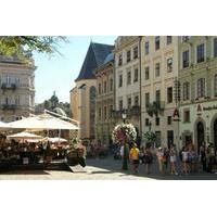 Lviv Old Town: Private Walking Tour