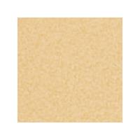 Lycra 150cm Wide - Gold