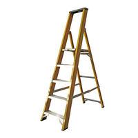 Lyte Ladders Lyte GFBP5 5 Tread Glassfibre Platform Ladder