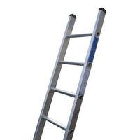 lyte ladders lyte gs150 single section ladder 493m