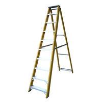 Lyte Ladders Lyte GFBB10 10 Tread Glassfibre Swingback Step Ladder