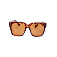 lydia retro geek style sunglasses