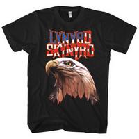 Lynyrd Skynyrd - Americana