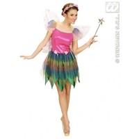 M Rainbow Ladies Womens Fairy Costume for Fairytale Magic Fancy Dress Female UK 10-12 Rainbow