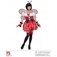 m ladies womens ladybug costume outfit for animal insect fancy dress f ...