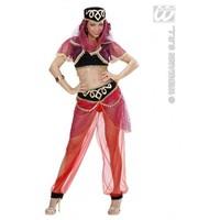 M Ladies Womens Harem Dancer Costume Outfit for Middle Eastern Arab Turkish Fancy Dress Female UK 10-12