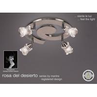 M0046SN Rosa Del Desierto 4 Lt Satin Nickel Flush Lamp
