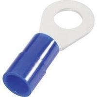 M10 Insulated Ring Terminal, Blue, 16mm², Cimco 180086