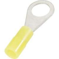 M10 Insulated Ring Terminal, Yellow, 4 - 6mm², Cimco 180058