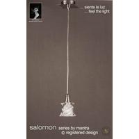 M3039SN Salomon 1 Light Satin Nickel Ceiling Pendant