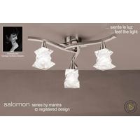 M3023SN Salomon 3 Light Satin Nickel Flush Ceiling Lamp