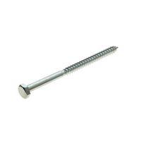 M6 Coach Screw (L) 100mm (Dia) 6mm Pack of 10