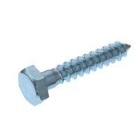 M6 Coach Screw (L) 40mm (Dia) 6mm Pack of 10