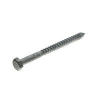 M8 Coach Screw (L) 100mm (Dia) 8mm Pack of 10