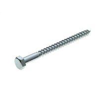 M8 Coach Screw (L) 100mm (Dia) 8mm Pack of 10