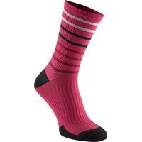 Madison Road Race Premio Extra Long Sock Pink Stripes