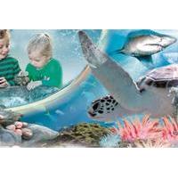 Manly SEA LIFE - 3 Attractions Combo Ticket