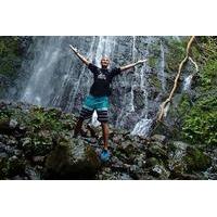 manoa falls waterfall hiking tours