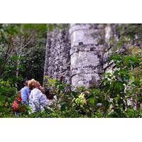 Mayan Ruins Adventure Trip: Oxpemul or Rio Bec