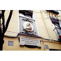 Madrid Guided Walking Tour including Spanish Literature Places