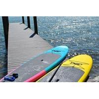 mangrove paddleboard tour through woolverton trails in charlotte harbo ...