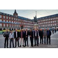 madrid highlights guided walking tour