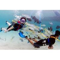 Marinarium Snorkeling Cruise