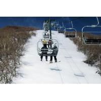 Mammoth Mountain Premium Ski Rental Including Delivery