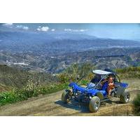 Malaga Shore Excursion: Panoramic Buggy Tour