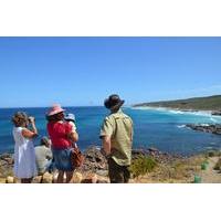margaret river coastal and wildlife eco trip from busselton or dunsbor ...