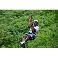 Mazatlan Canopy Zipline Tour plus Mezcal Tasting