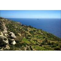 Malta\'s Scenic Tour Visiting Palazzo Parisio, Clapham Junction, Dingli Cliffs and Buskett Gardens