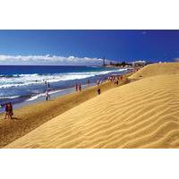 Maspalomas Coast and Dolphin Watching Tour